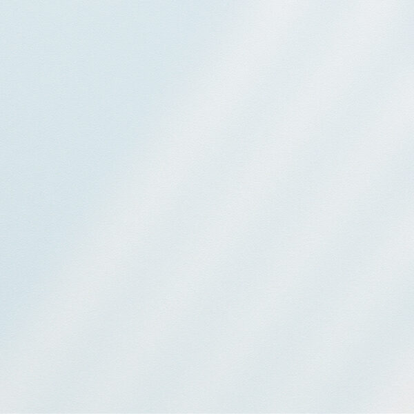 Cod. P09-500030
