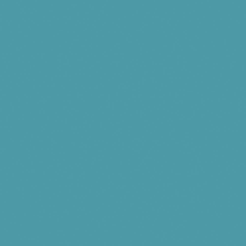Cod. P09-500106