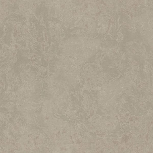 Splendor 2023 - Art. M69937