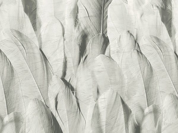 Eterea - Art. Z42669