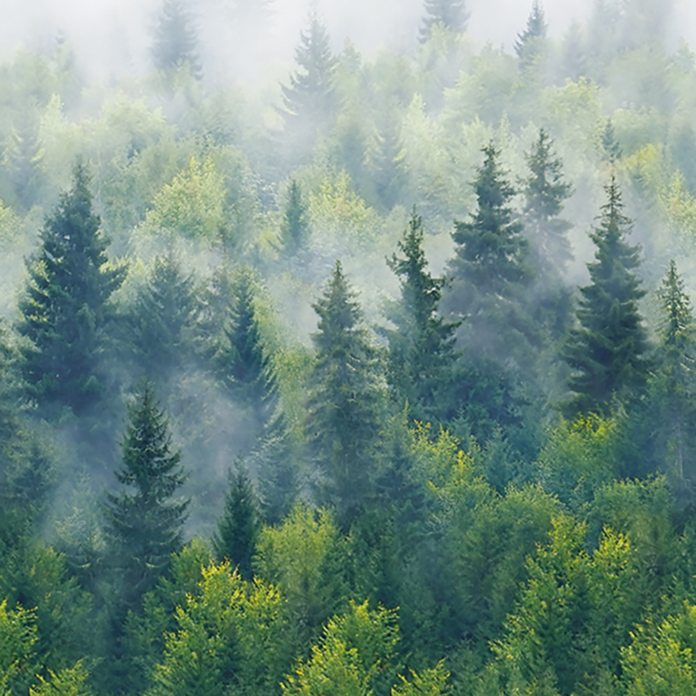 Rio - Art. 06S-3196453